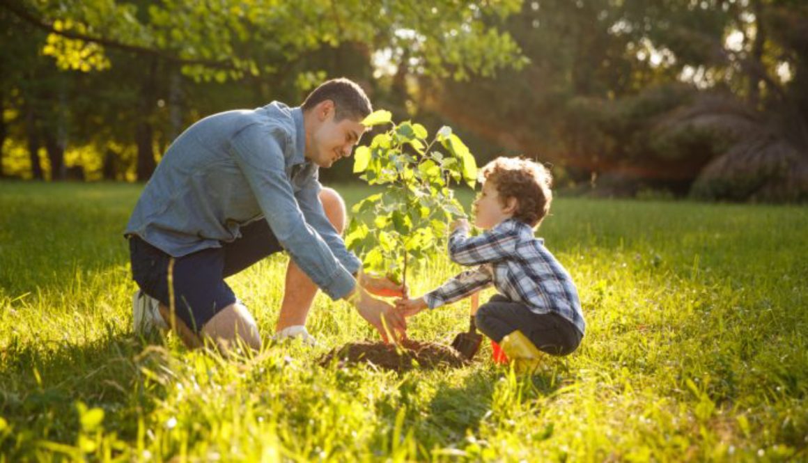 Parent and child planting tree